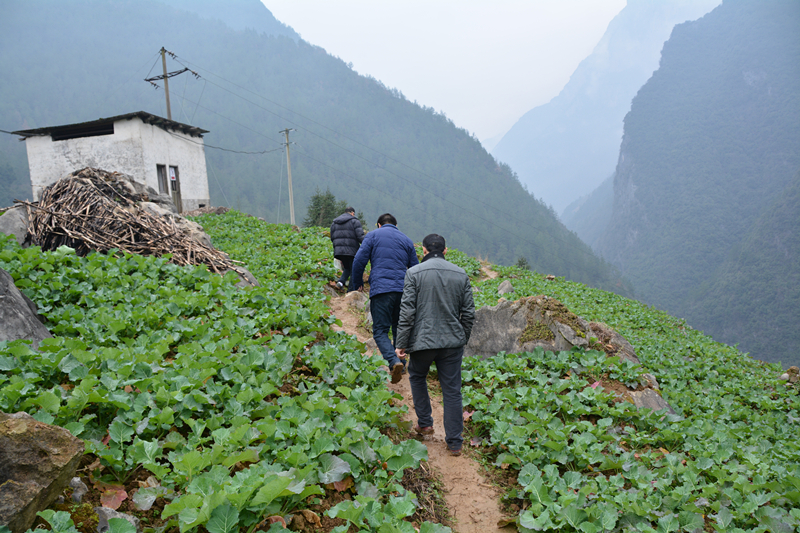 1458695655140525.jpg DSC_3087.JPG