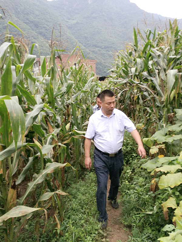 1472096427298372.jpg QQ圖片20160804100757.jpg