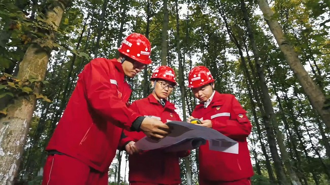 1735309735403741.jpg 4.jpg