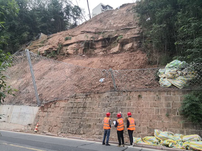 1735309943631649.jpg 11.jpg