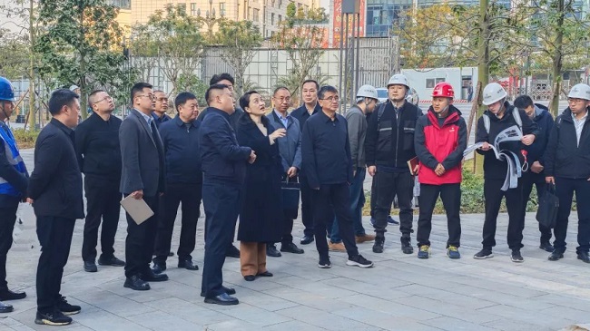 1736259154335797.jpg 11.jpg