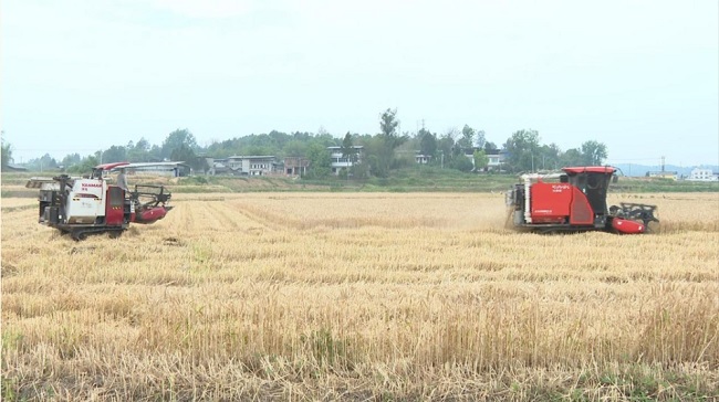 1748659372958333.jpg 111111.jpg