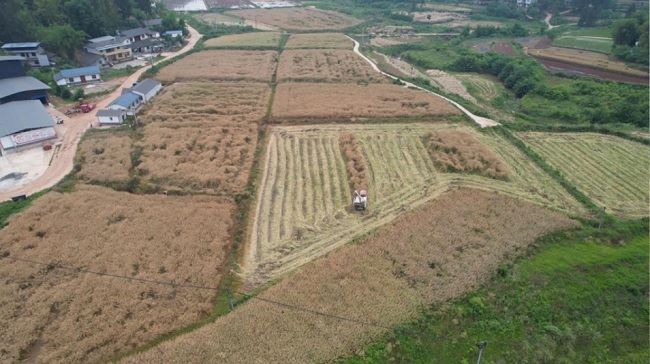 1748659380938463.jpg 222222.jpg