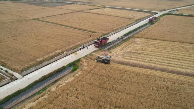 1748659386208648.jpg 333333.jpg