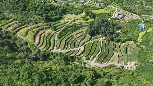 1751646954451601.jpg 333333.jpg