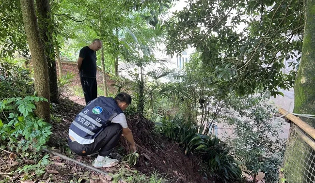 1753106821996822.png 222222.png